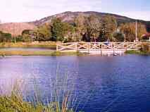 Cull Park - Albany
