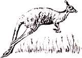 wonderful wildlife